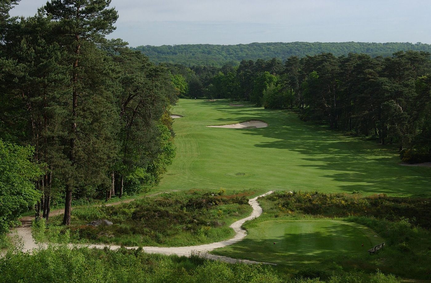 Départ et fairway bordé de pins et de bruyère au golf de Fontainebleau